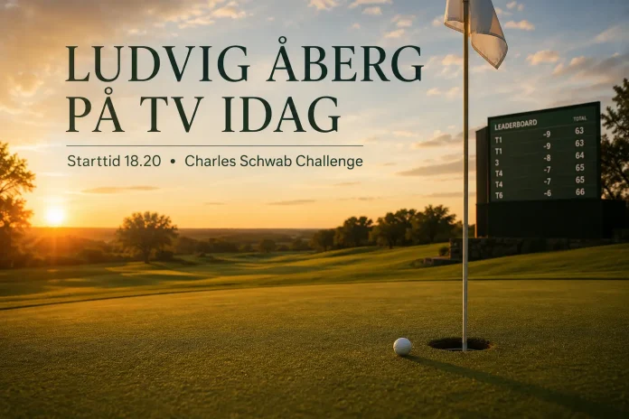 Ludvig Åberg på TV idag