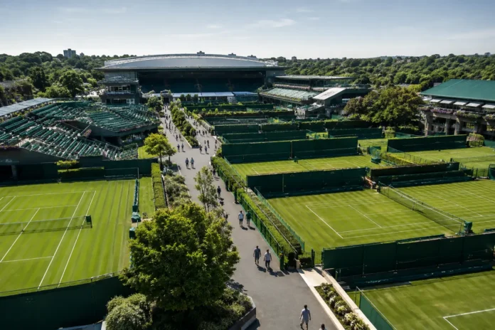 wild card i tennis