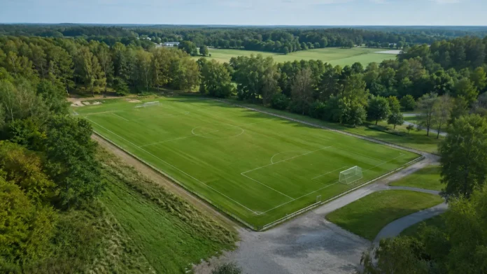 Nino Zugelj Djurgården