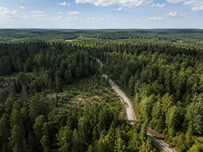 rally-SM Vimmerby död
