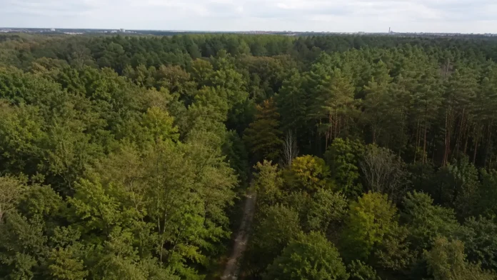 vapengömma nära Berlin