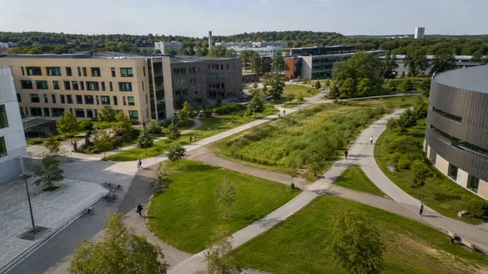vilka högskoleutbildningar lönar sig mest 2026