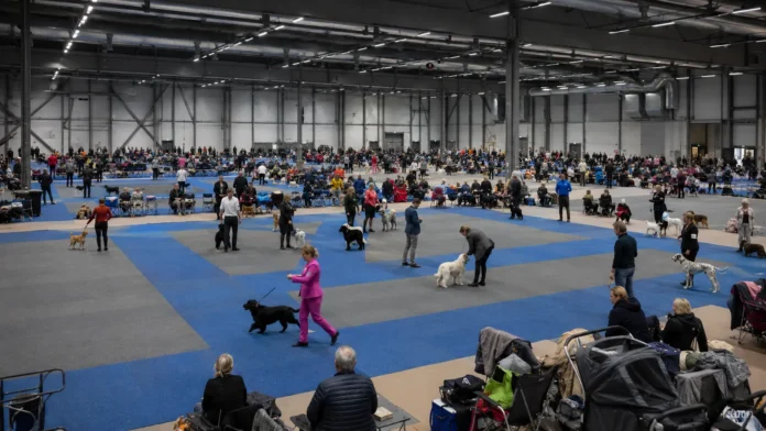 European Dog Show 2026