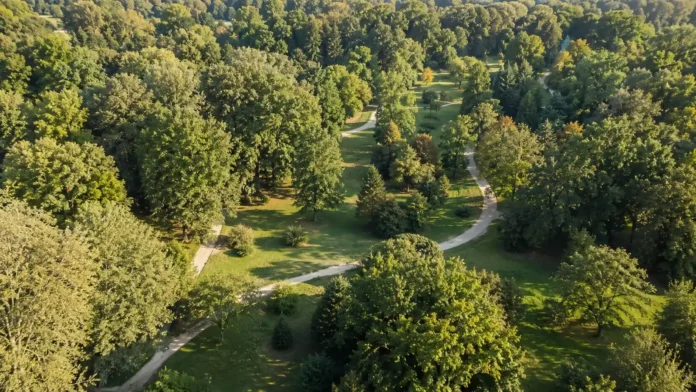 F1 kval Monza 2026