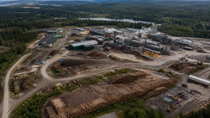 Holmen kapar sågverksproduktionen