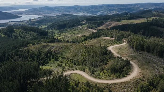 Rally Chile i dag