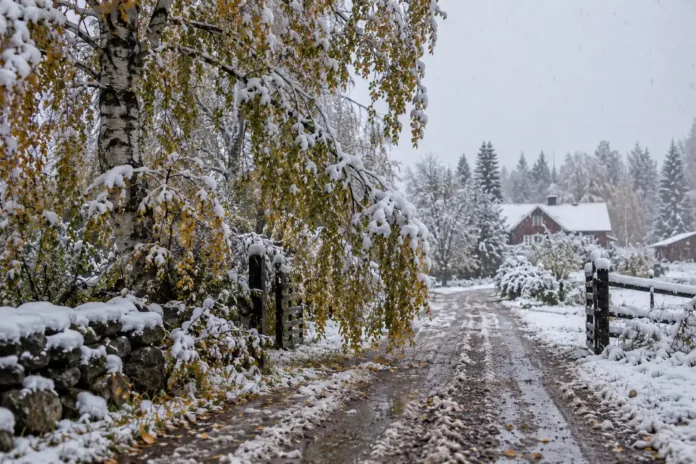 Ellevio höjer beredskapen