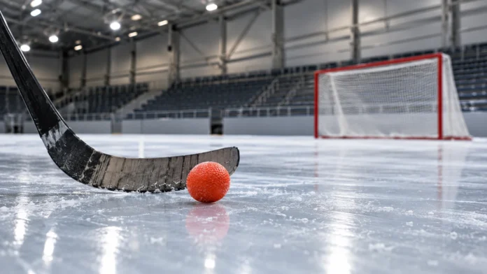 hammarby bandy